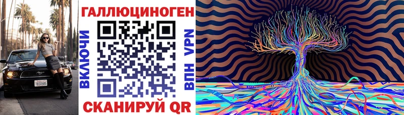купить закладку Всеволожск Псилоцибиновые грибы MAGIC MUSHROOMS
