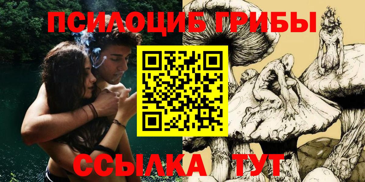 Всеволожск  где купить   Вход с VPN  Псилоцибиновые грибы Psilocybe 