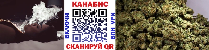Канабис план купить закладку Всеволожск